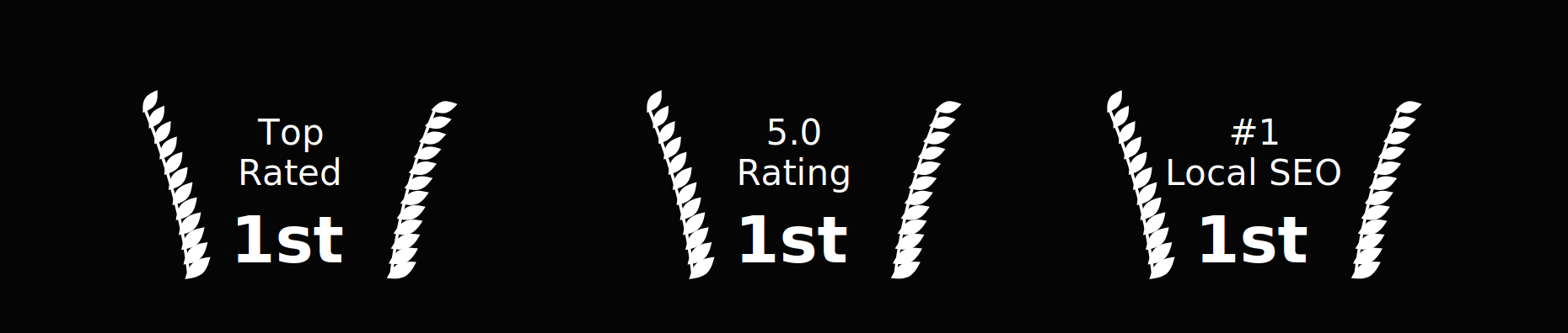 Top Rated 1st, 5.0 Rating 1st, #1 Local SEO 1st
